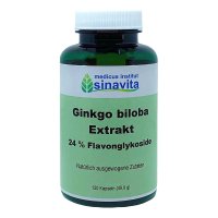 GINKGO BILOBA EXTRAKT 24% Flavonglykoside Kapseln