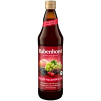 RABENHORST Regeneration Bio Saft