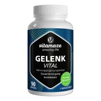 GELENK VITAL Kapseln