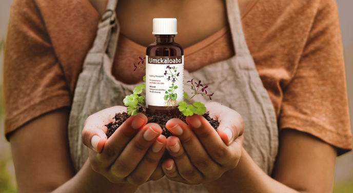 Anzeige: Umckaloabo hilft bei Atemwegsinfekten