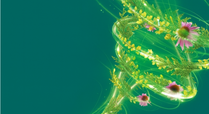 Anzeige: Das neue  Meditonsin® Extract, 3-fach Pflanzenpower verkürzt Erkältungsdauer um bis zu 3 Tage